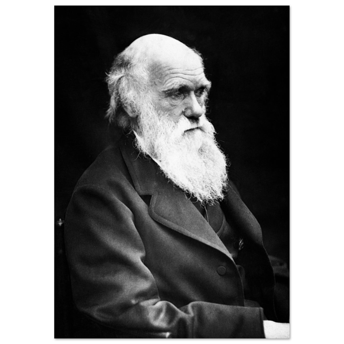 031b747e-32a7-48e0-9e54-74e331edd8f4