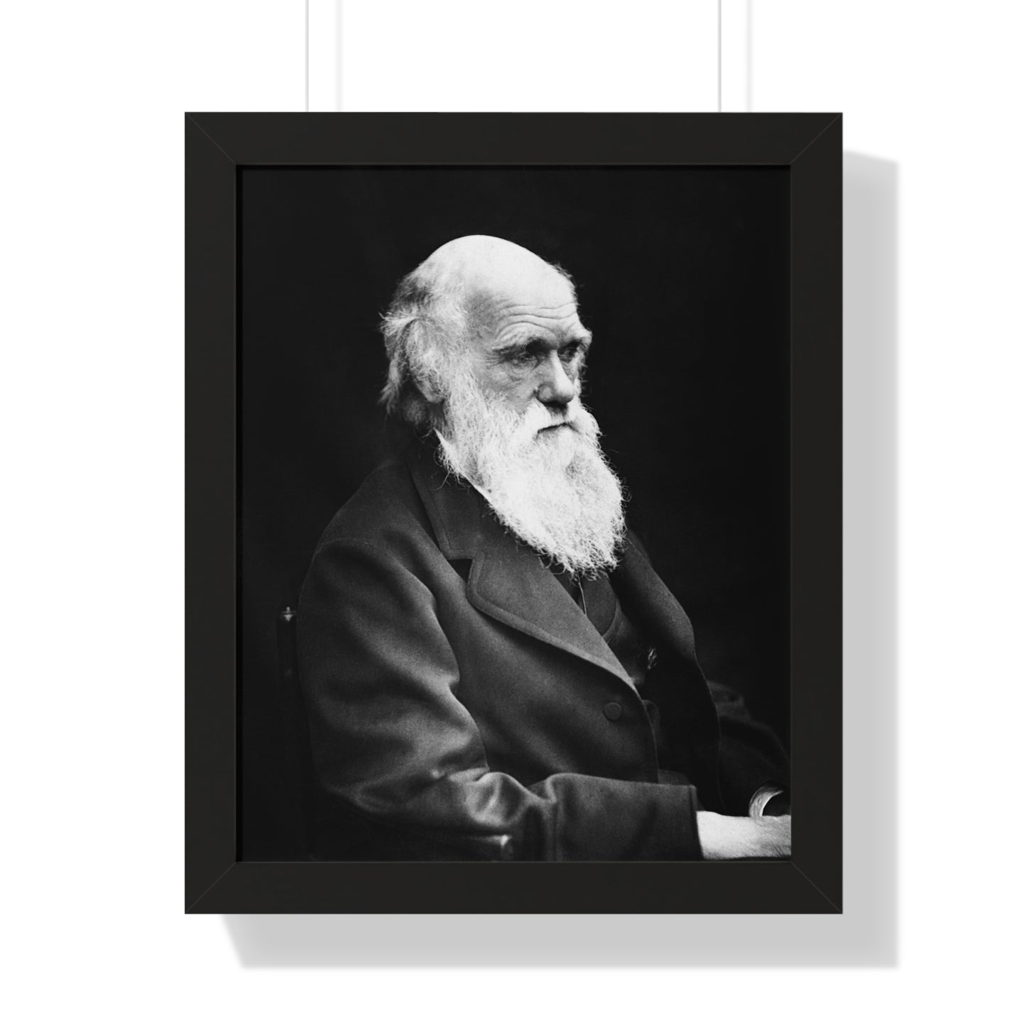 Framed Portrait: Charles Darwin