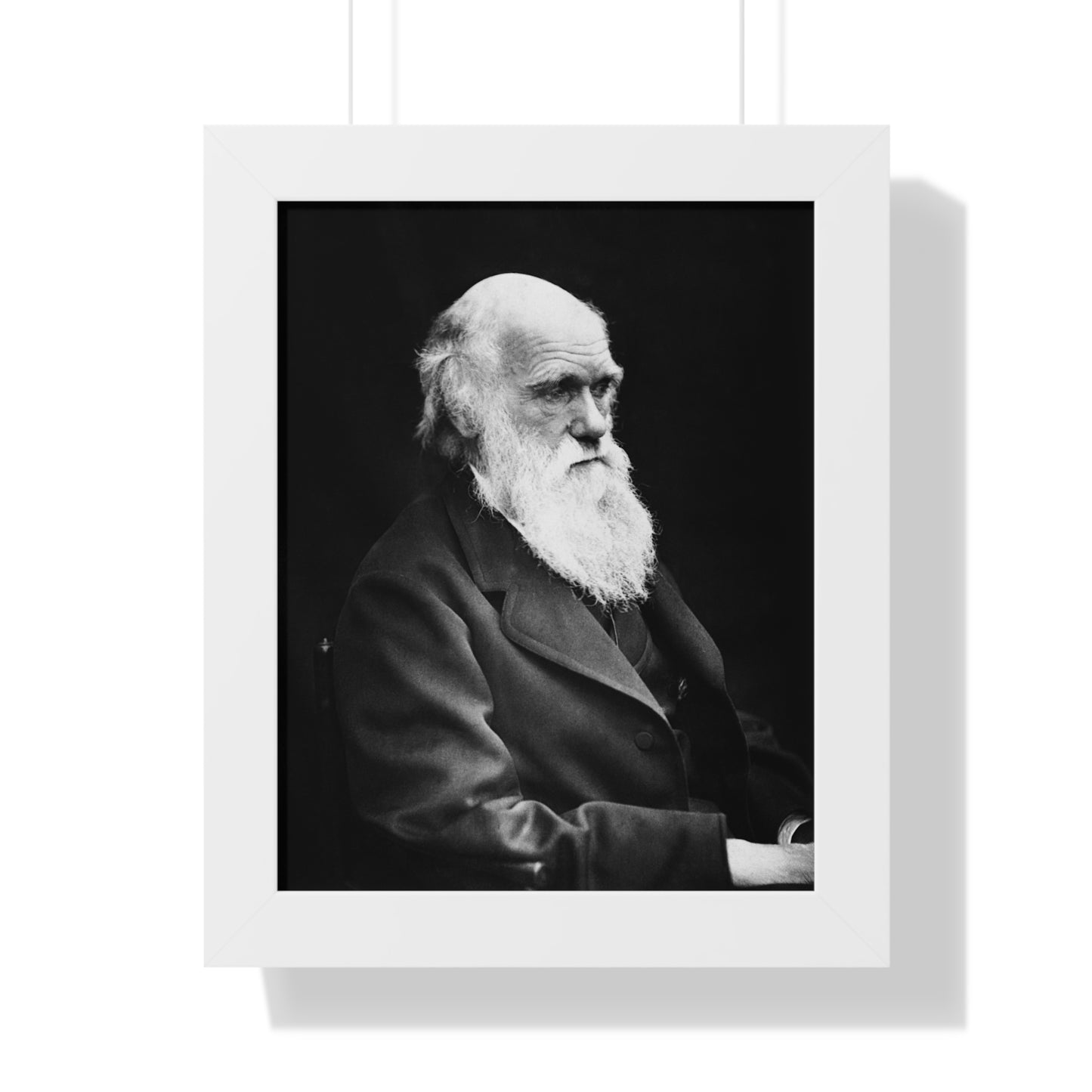 Framed Portrait: Charles Darwin