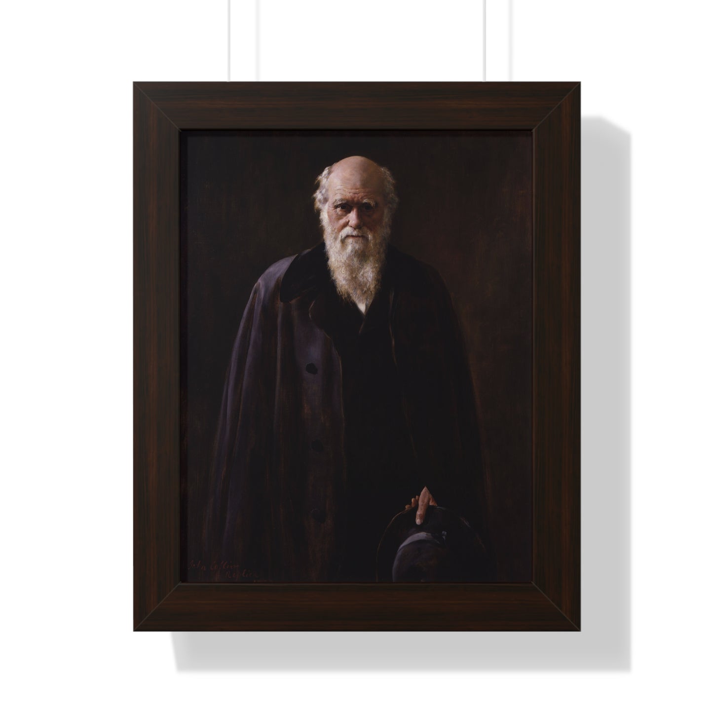 Charles Darwin Framed Portrait by John Collier