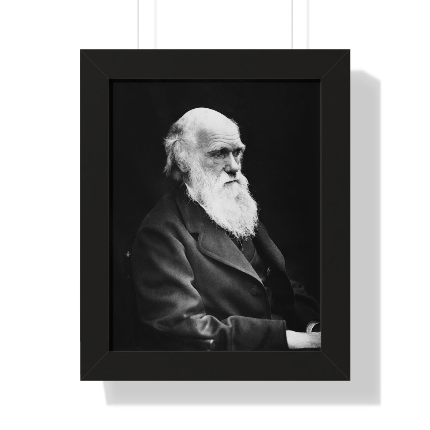 Framed Portrait: Charles Darwin