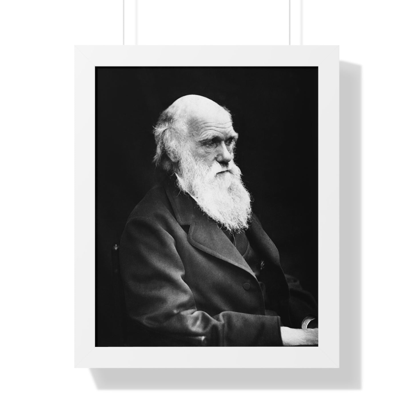 Framed Portrait: Charles Darwin