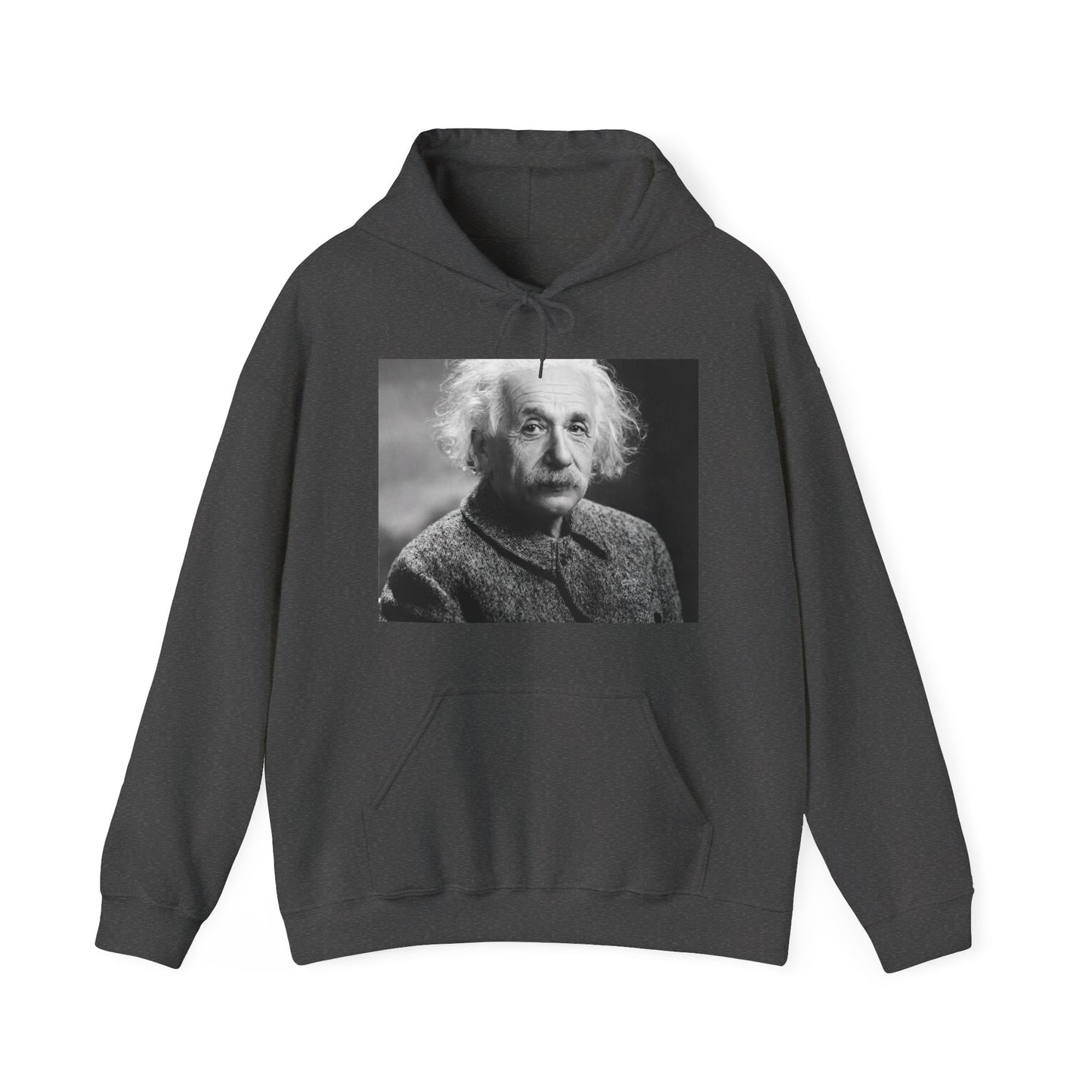 Einstein Portrait Heavy Blend Hooded Sweatshirt