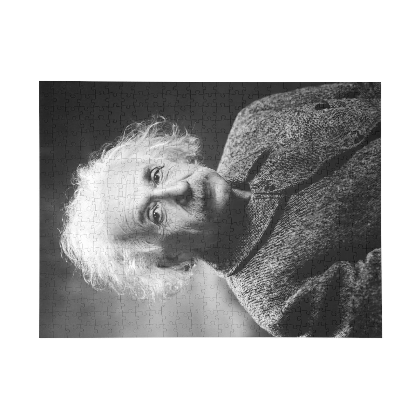 Albert Einstein Portrait Jigsaw Puzzle