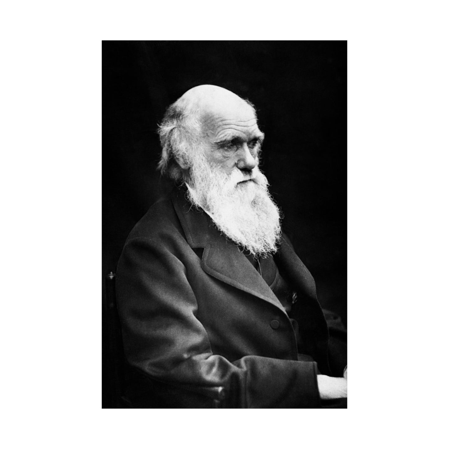 Charles Darwin Portrait - Premium Matte Vertical Poster