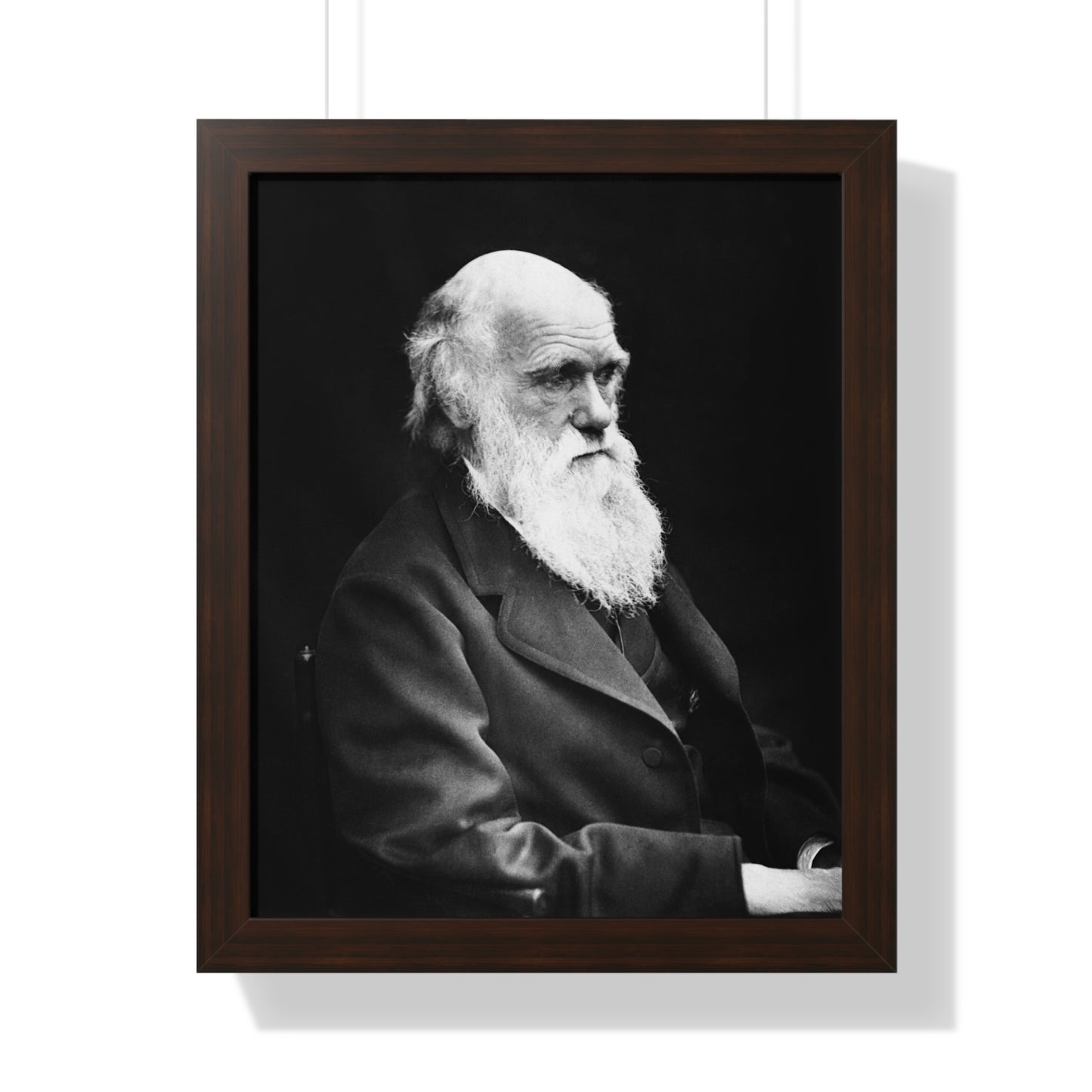 Framed Portrait: Charles Darwin