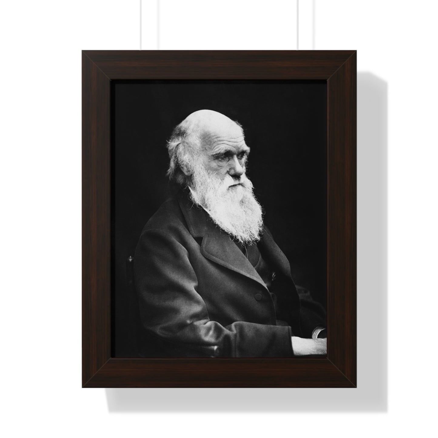 Framed Portrait: Charles Darwin