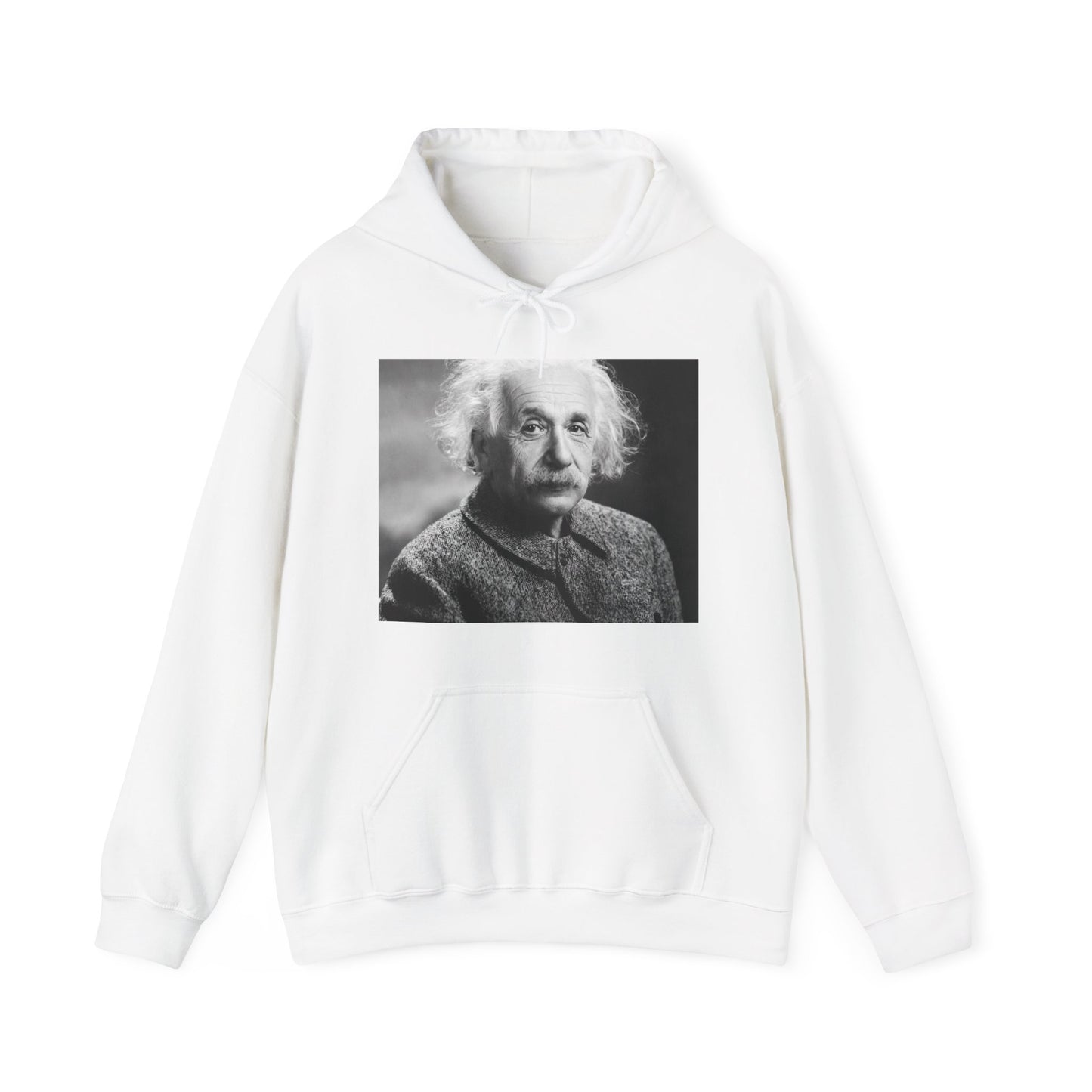 Einstein Portrait Heavy Blend Hooded Sweatshirt