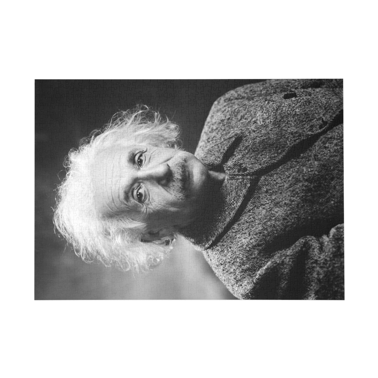 Albert Einstein Portrait Jigsaw Puzzle